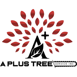 A+ Plus Tree Services. Kawartha Lakes. https://www.facebook.com/aplustreeserviceinc/